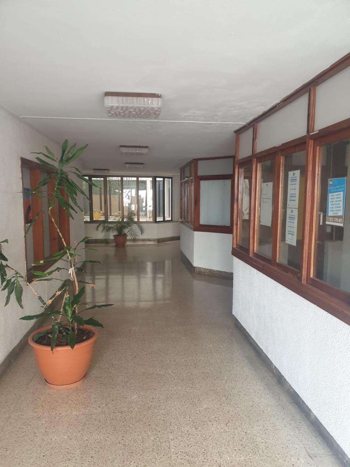 Gold Oasis Apartment El Medano  Exterior photo
